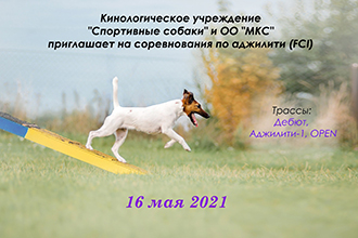 Соревнования по аджилити (FCI) г.Минск