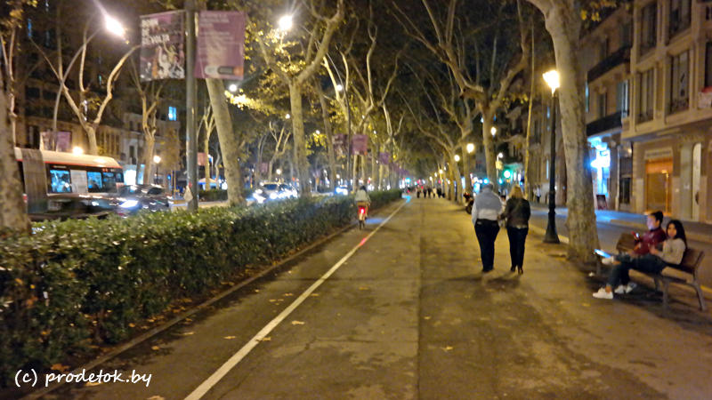 На больших улицах в центре  дороги много аллей  для прогулок пешеходов и с дорожкой для велосипедистов