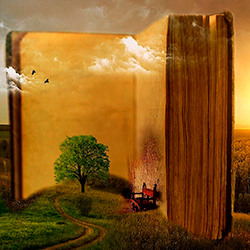 Библиотека, которую привозят на дом: в Гёте-Институте запустили бесплатную услугу доставки книг 