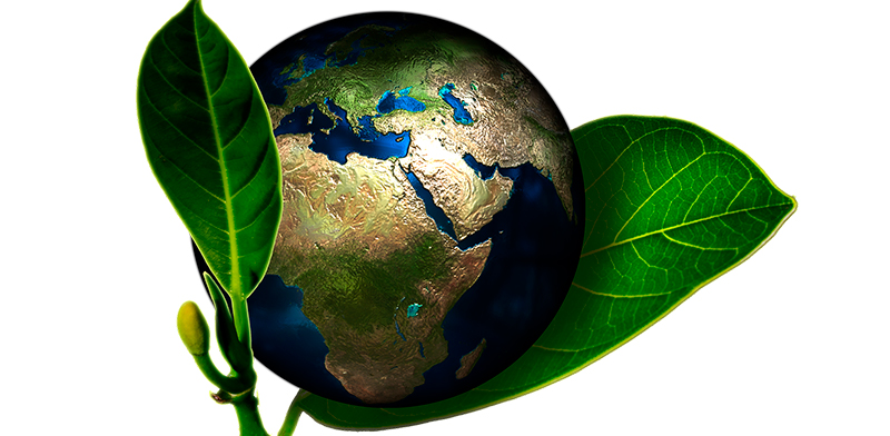 Разведение дождевых червей, веган детский сад, сохранение популяции пчел: уже известны полуфиналисты конкурса BELARUS GREEN AWARDS 2020