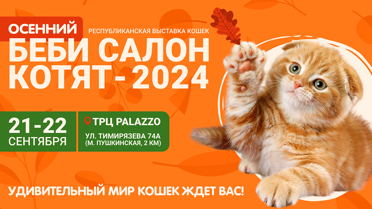 «Мартовский Мистер Кот» Беби Салон Котят – 2023
