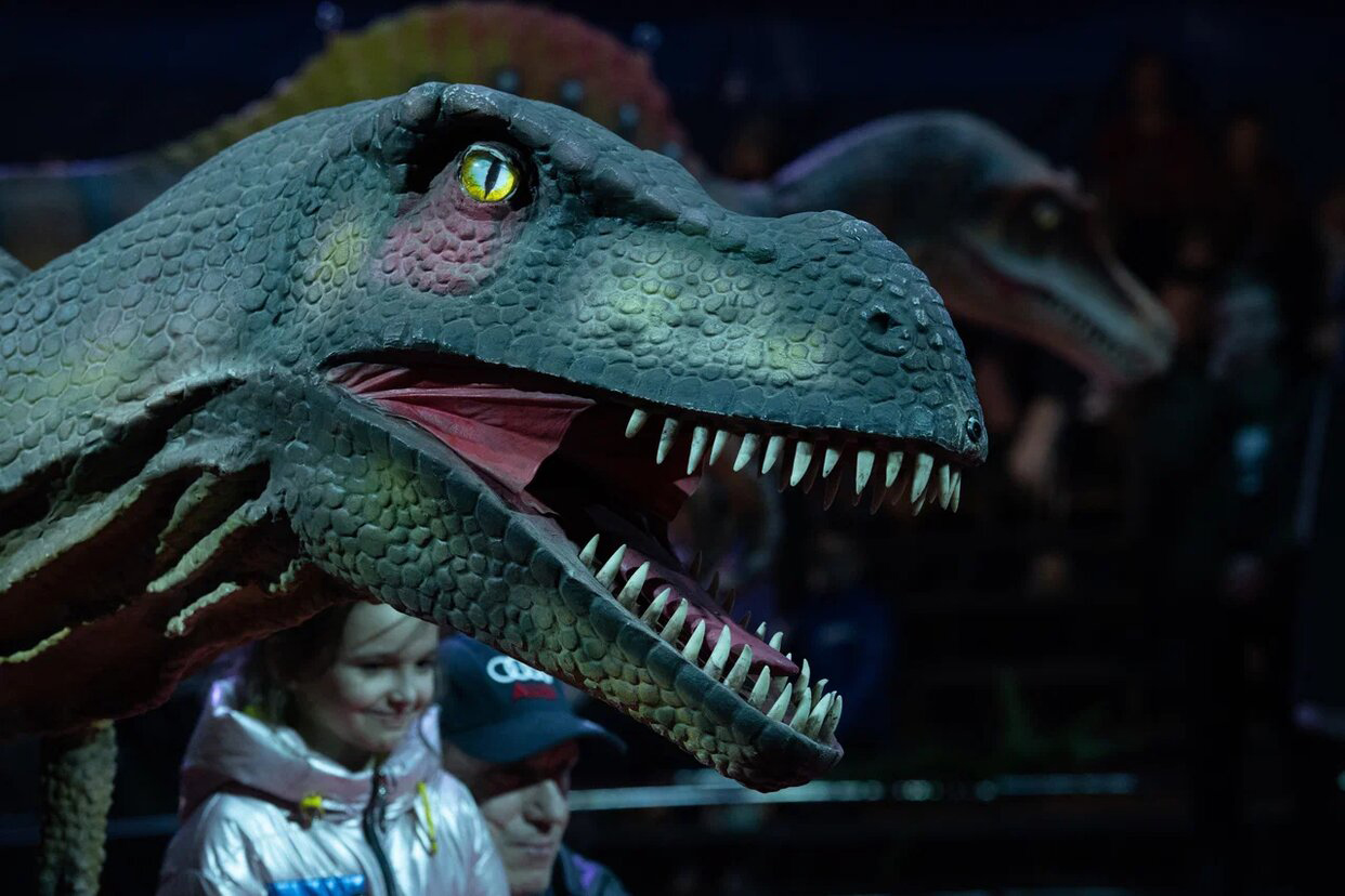 Цирк Юрского периода в Минске: рассказываем, что ожидает зрителей