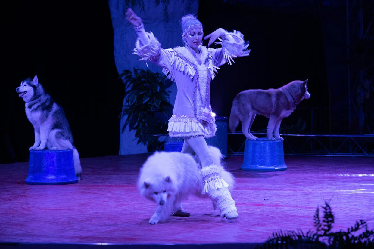 Цирк Юрского периода в Минске: рассказываем, что ожидает зрителей