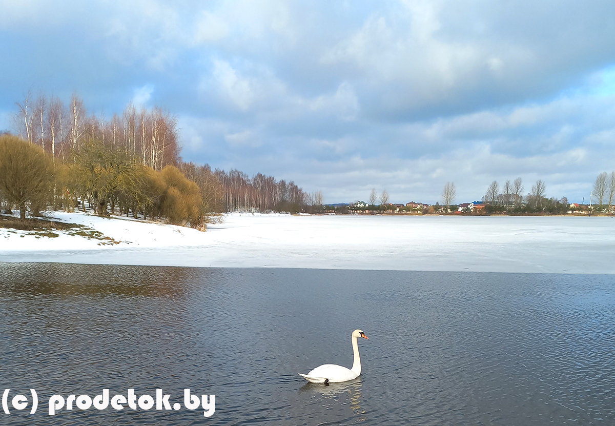 Цнянское водохранилище в снежное время года: 5 идей как интересно провести время всей семьей