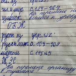 Топ-7 необычных записей в дневниках минских школьников