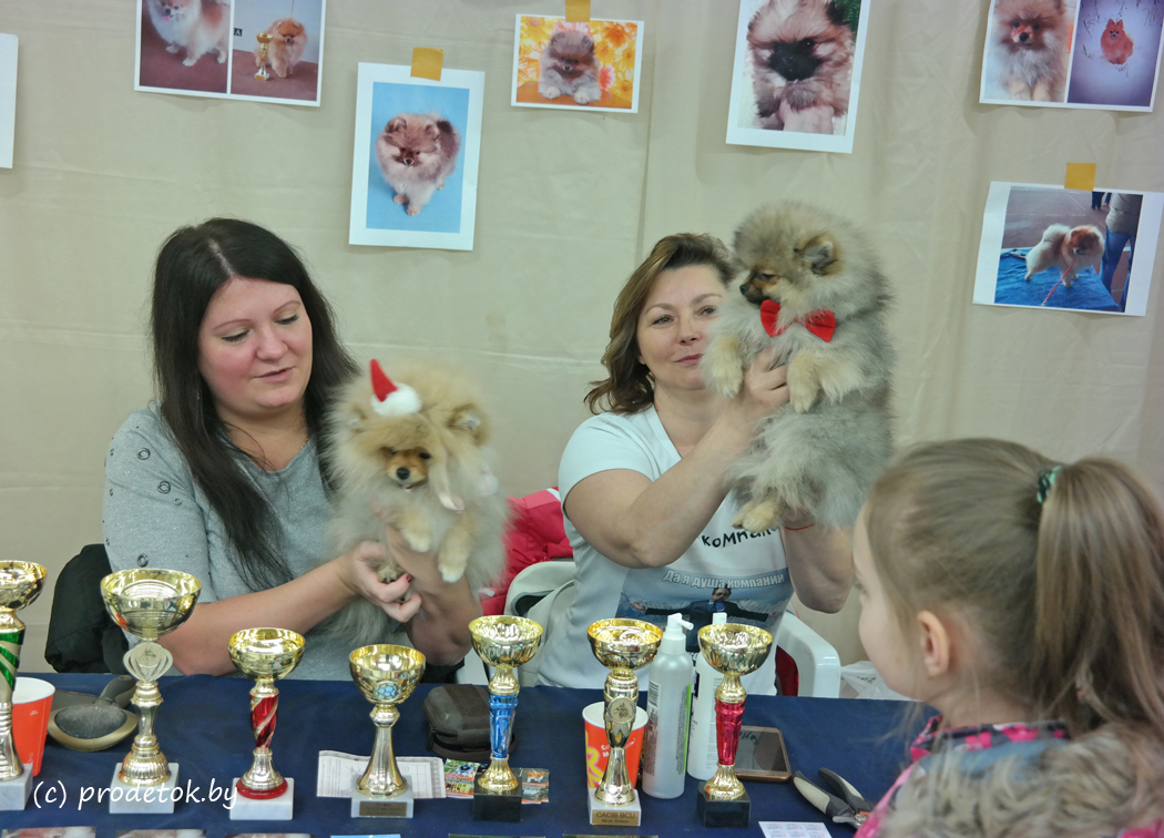 
   В Минске проходит большая весенняя танцевальная выставка-шоу породистых собак «ВЕСНА с Догшоу-2018»: фотофакт