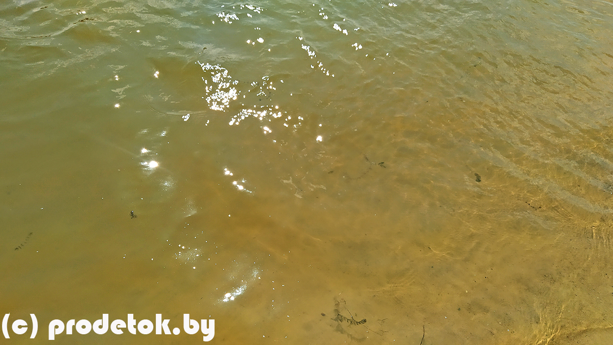 Еще минские пляжи, которые зацвели: фотофакт