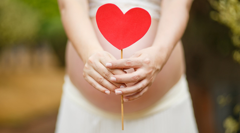 В закон об ЭКО и суррогатном материнстве внесут изменения
