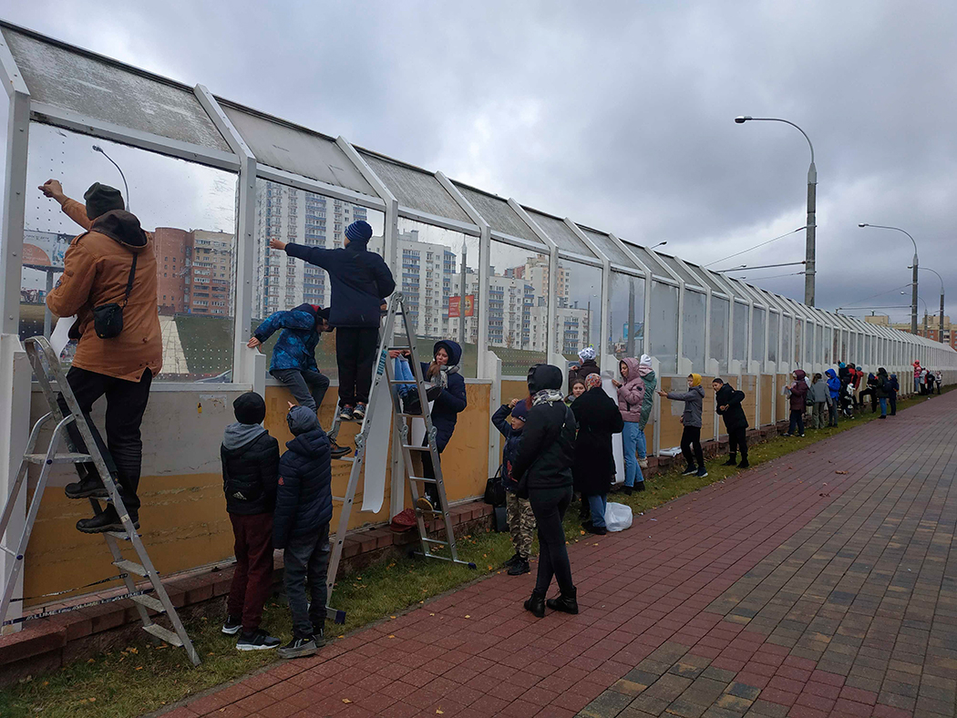 Эти изобретения убивают ежегодно в Беларуси до 16 миллионов птиц 