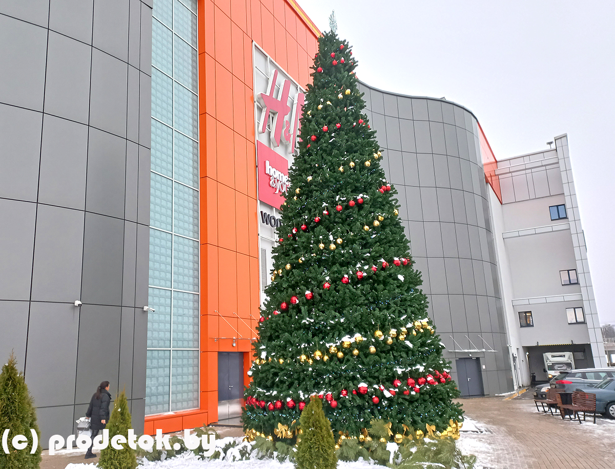 Елка в ТРЦ "Palazzo". Красивые и необычные елки к Новому 2022 году в Минске