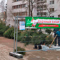 Елочные базары в Минске в декабре 2021 года