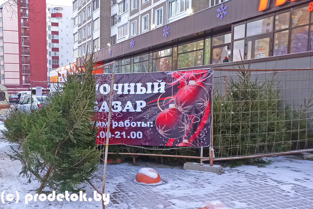 Елочные базары в Минске в декабре 2021 года