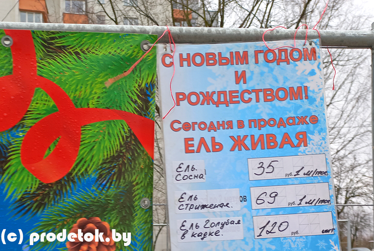 Елочные базары в Минске в декабре 2021 года