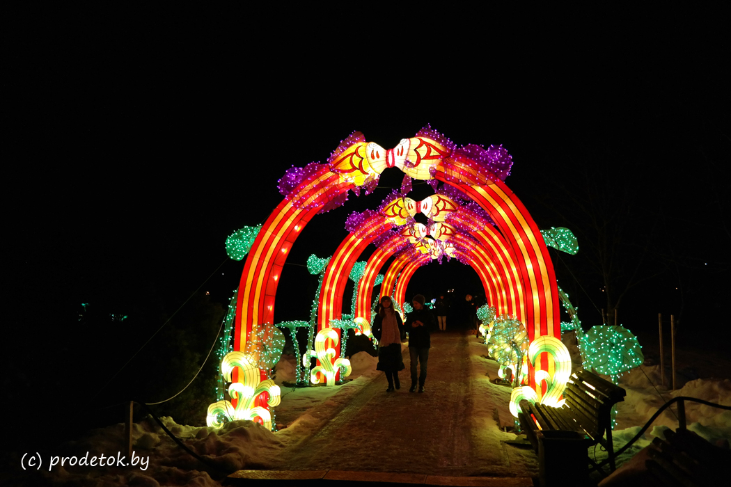 Что ждет посетителей Фестиваля гигантских китайских фонарей в Ботаническом саду: фото-, видео-отчет и отзыв