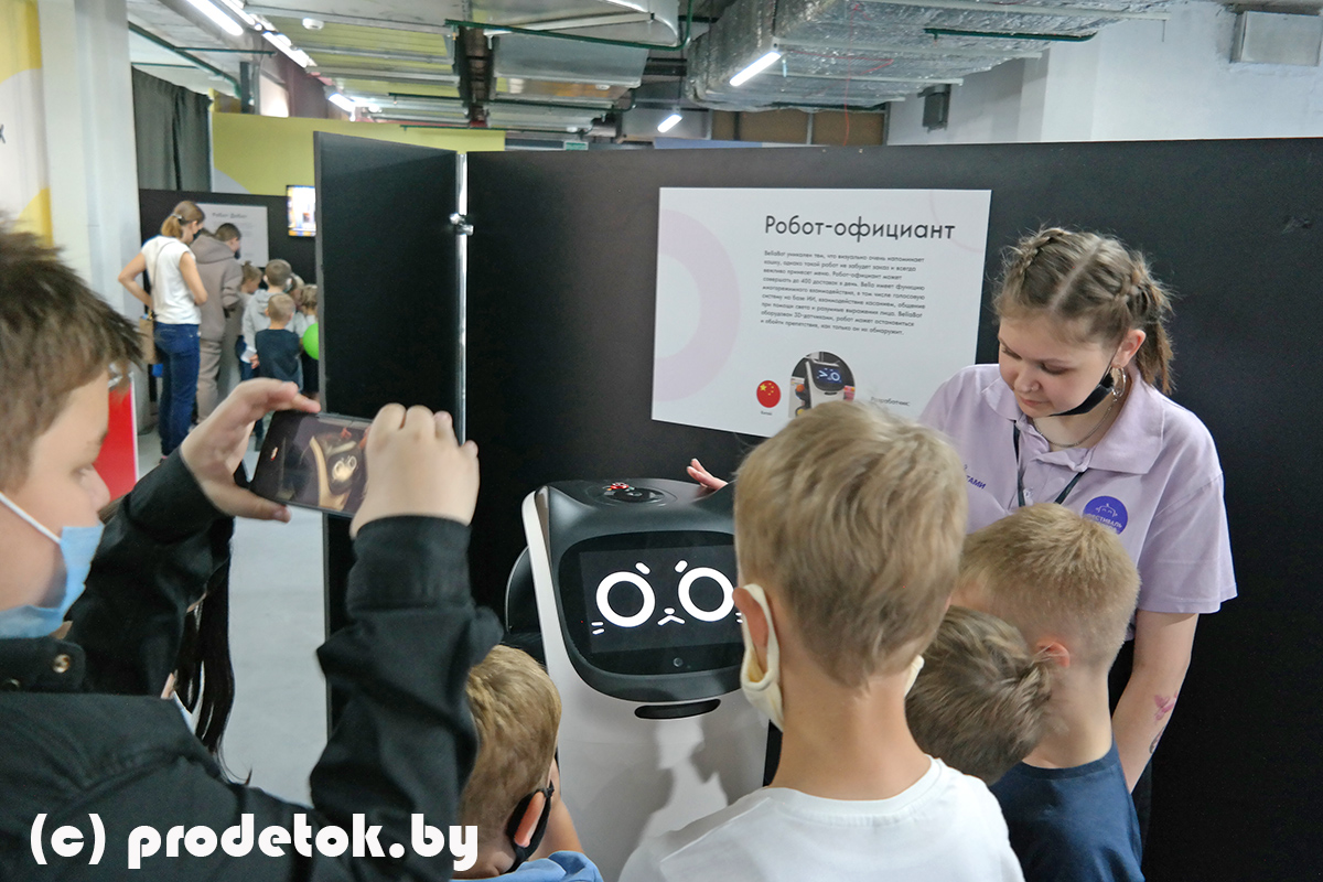 Милый котик-официант. Фестиваль роботов в Минске 2021: фотоотчет и отзыв