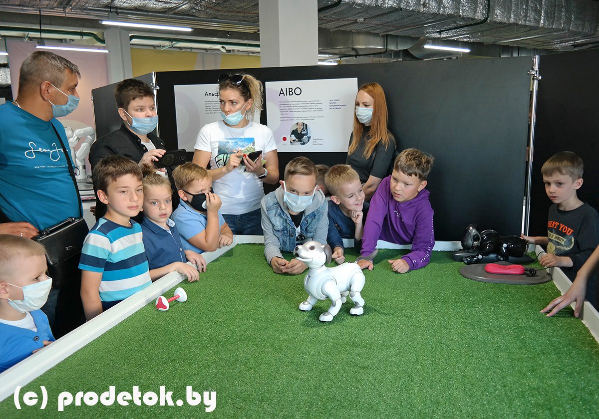 Aibo. Фестиваль роботов в Минске 2021: фотоотчет и отзыв