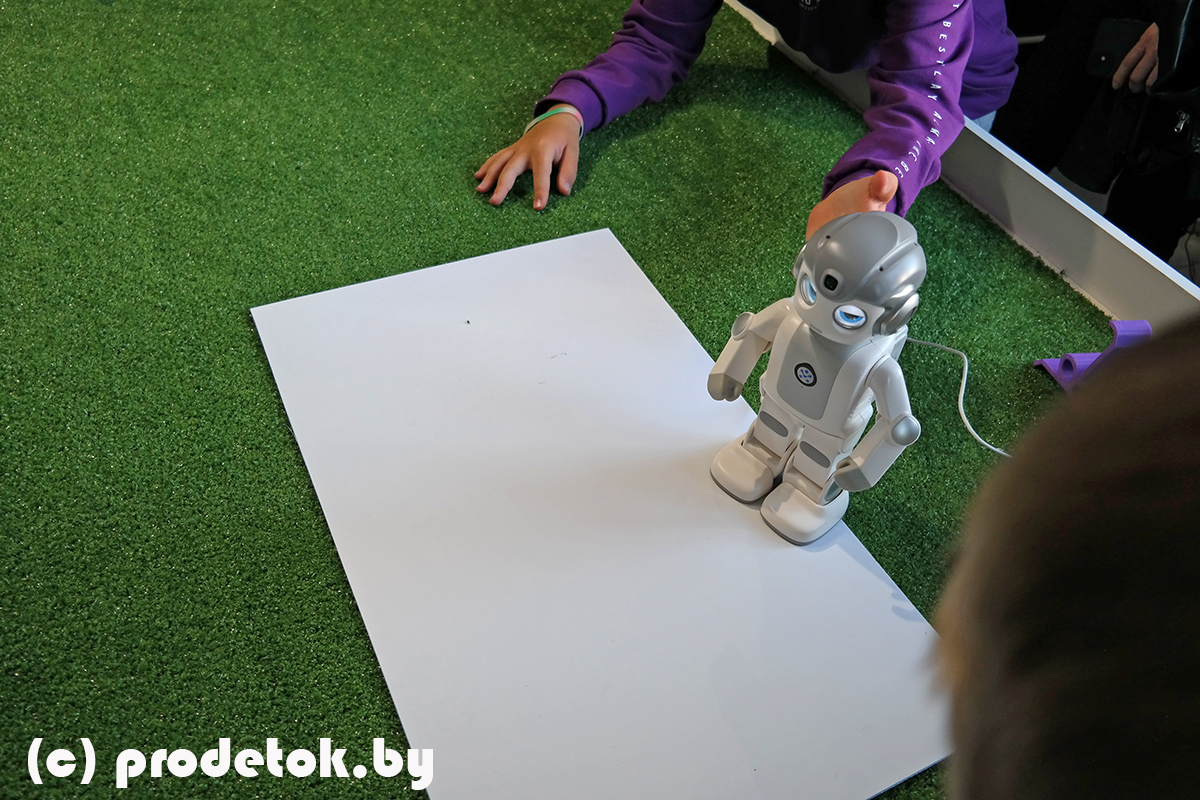 Фестиваль роботов в Минске 2021: фотоотчет и отзыв