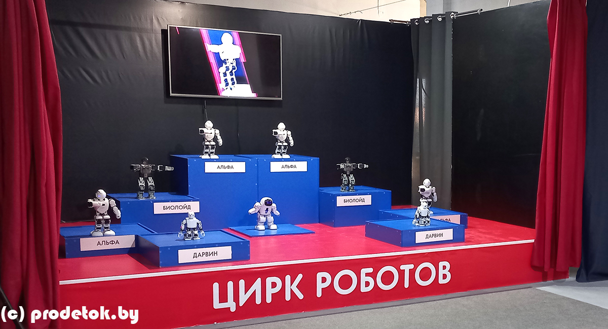 Цирк роботов. Фестиваль роботов в Минске 2021: фотоотчет и отзыв