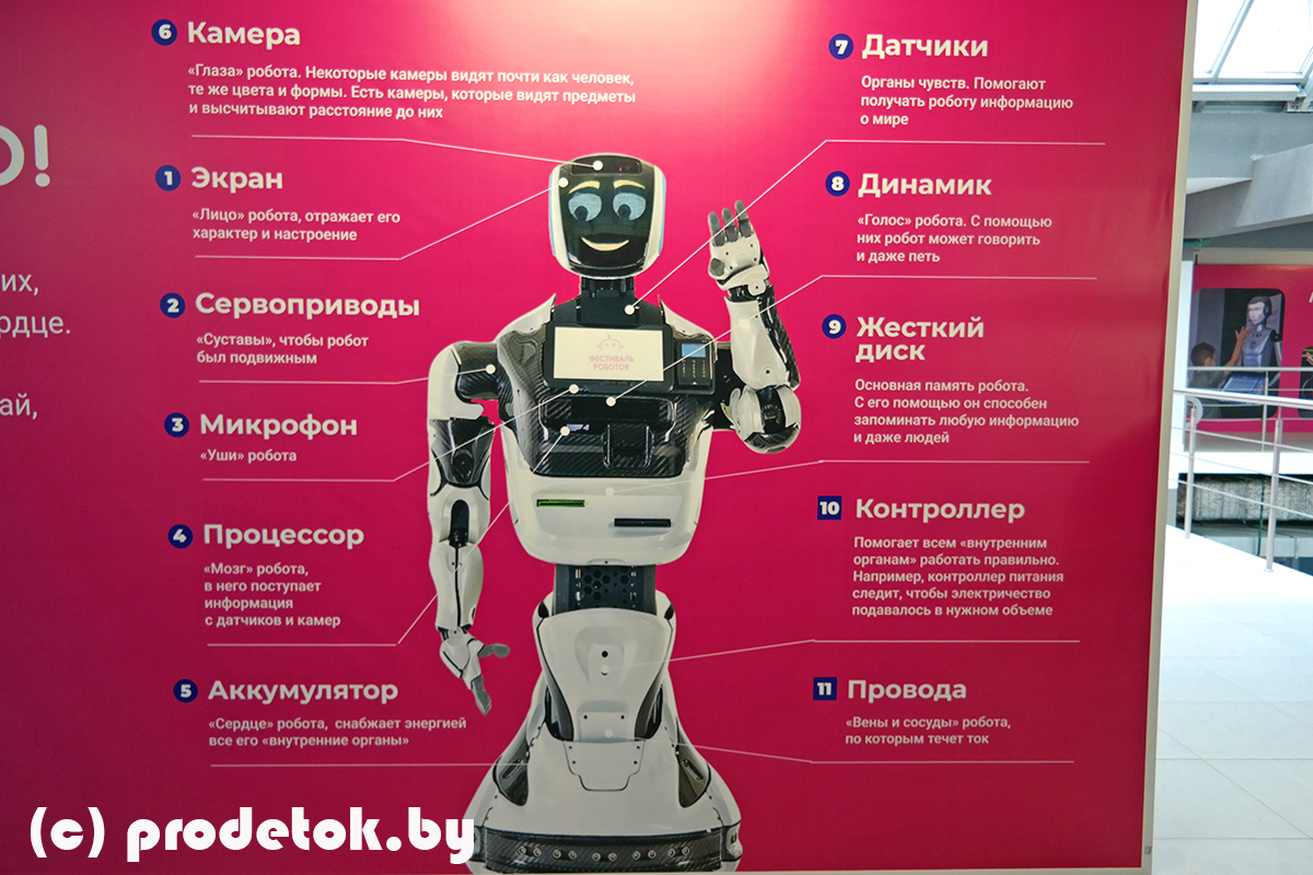 Фестиваль роботов в Минске 2021: фотоотчет и отзыв