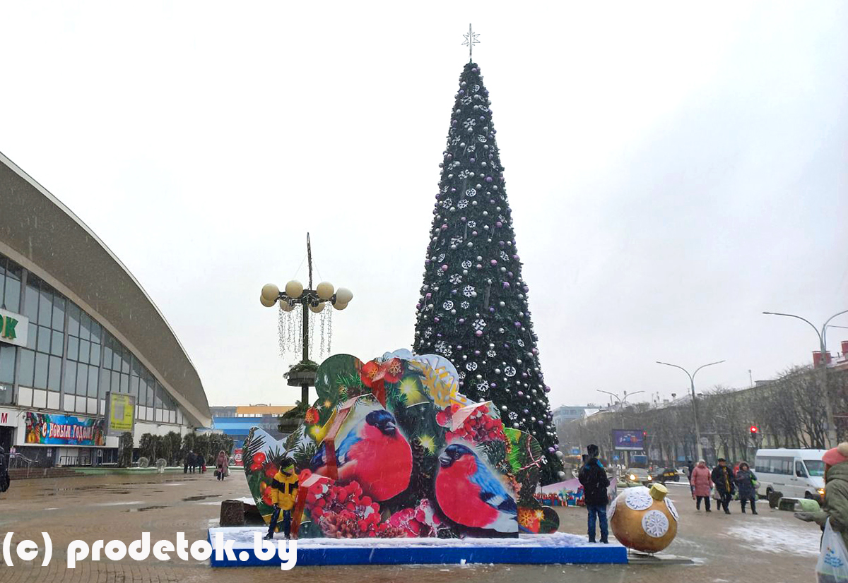 Фотозона в Евроопте