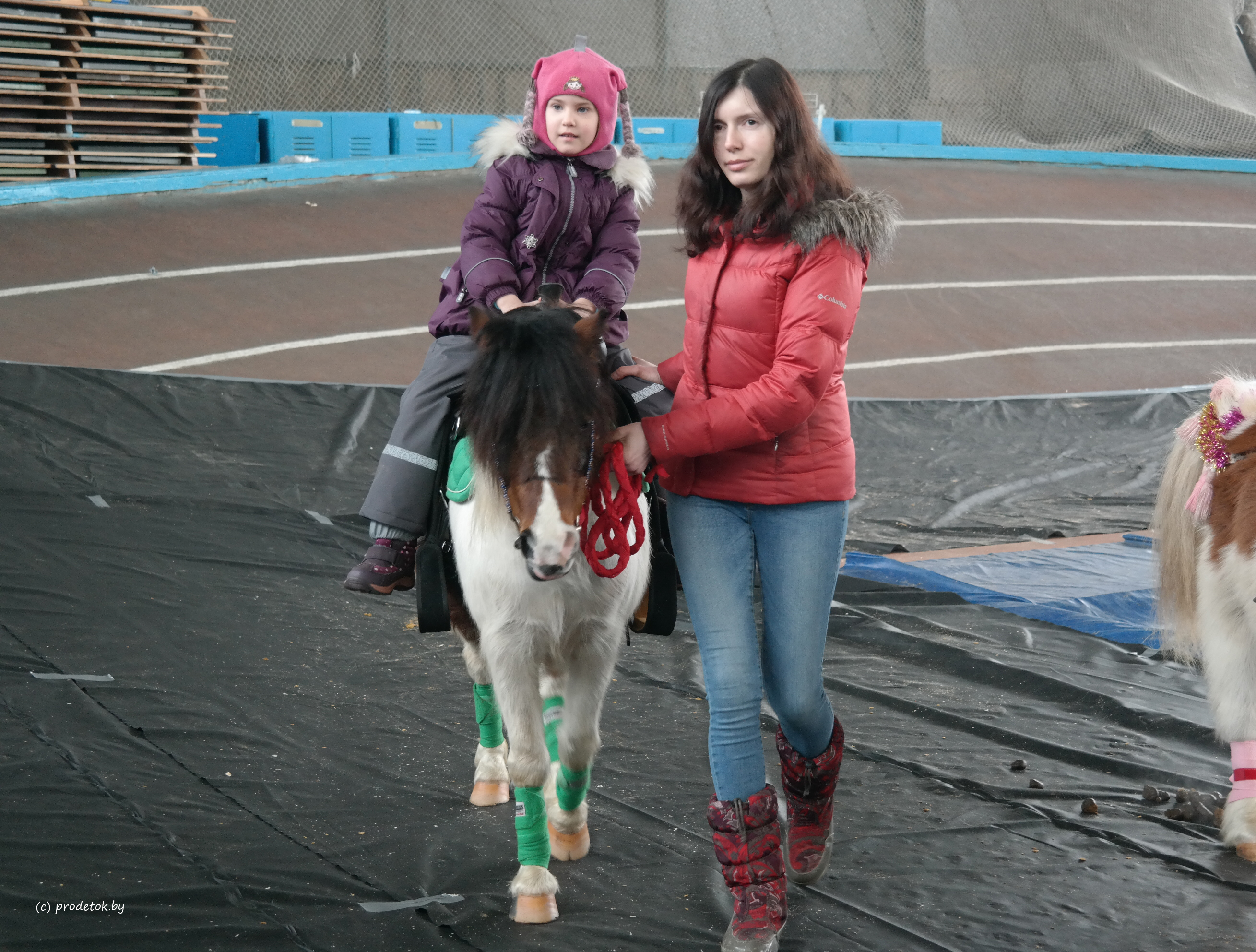 Международная выставка шоу лошадей в Минске (2018 год)
