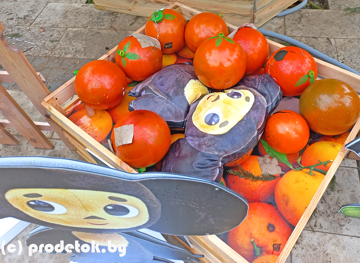 Чебурашка, Ералаш и ностальгическая елка: почему нужно сходить на новую ярмарку в Раковском предместье