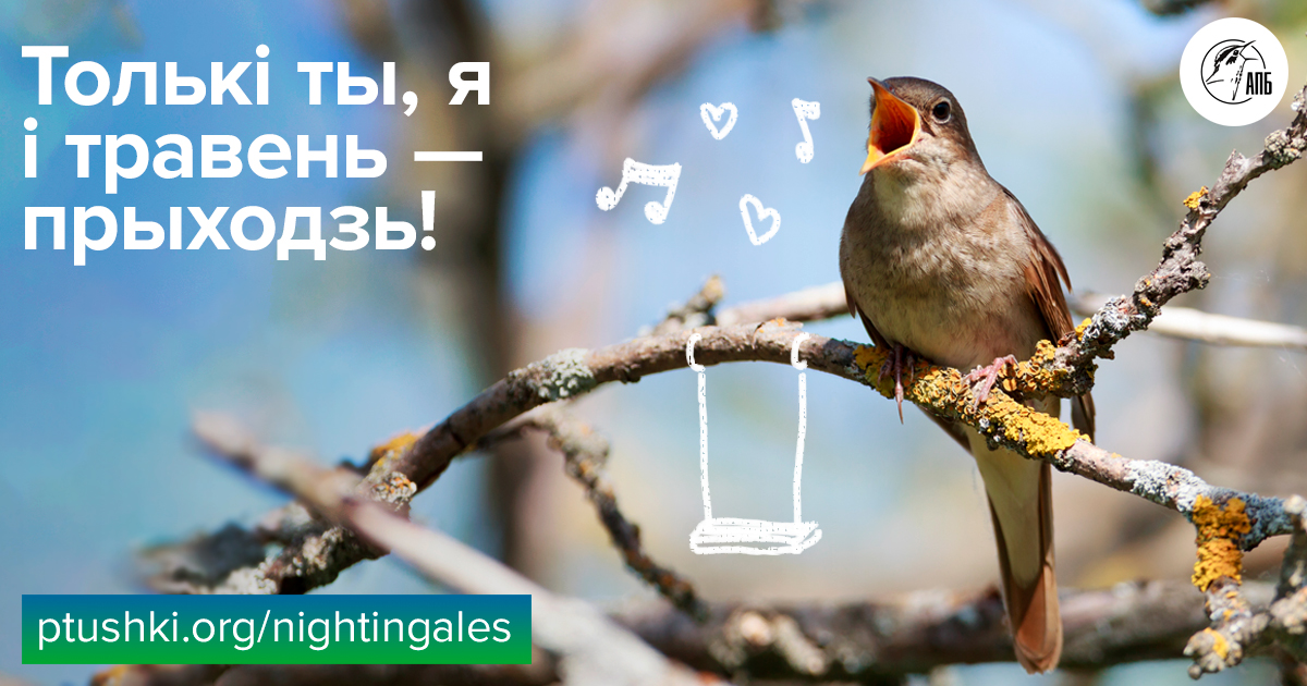 Где послушать соловья: интерактивная карта