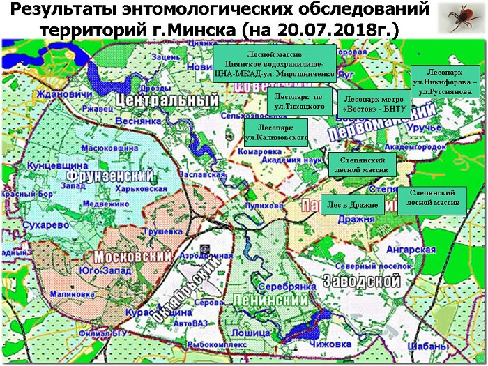 Где в Минске чаще всего встречали клещей