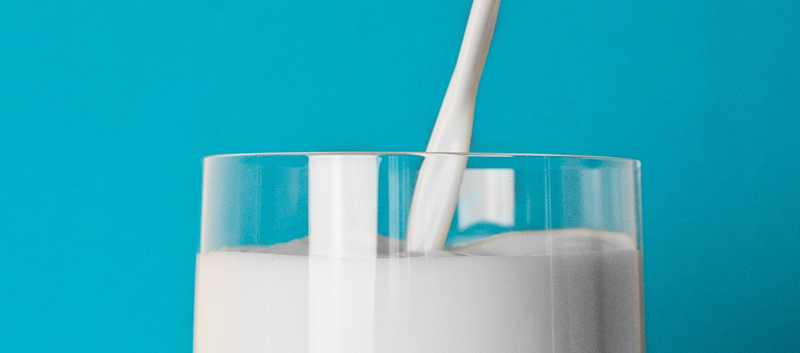 С экскурсией и мастер-классами. В Бресте создают «Клуб экспертов молока»