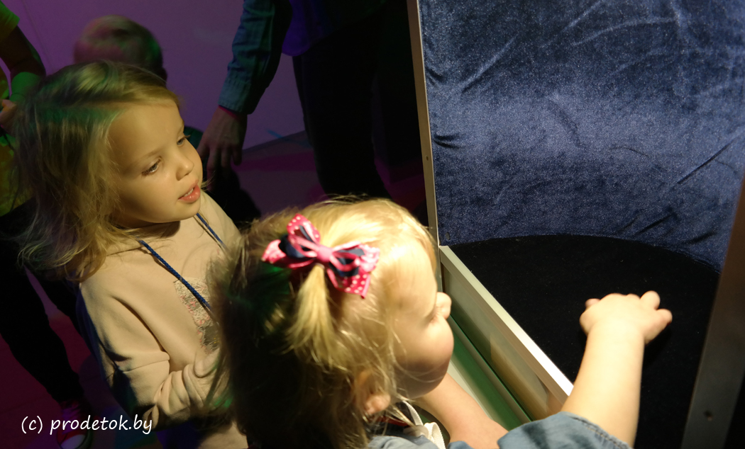 Музей занимательных наук «Квантум» - место, где ребенка заинтересует наука: фотоотчет и отзыв