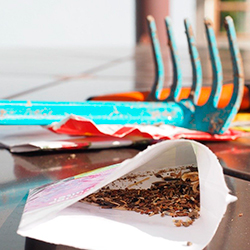 Летнюю трудовую практику и учебно-полевые сборы отменили в минских школах