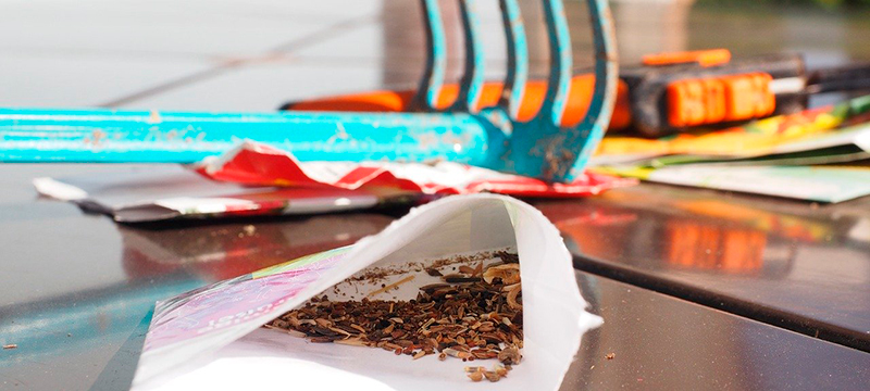 Летнюю трудовую практику и учебно-полевые сборы отменили в минских школах