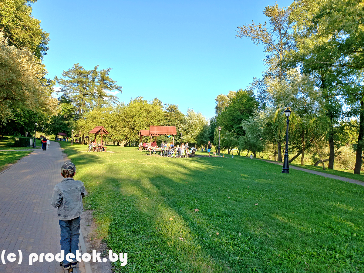 Лошицкий парк: очень много яблок, живописные руины и цапля