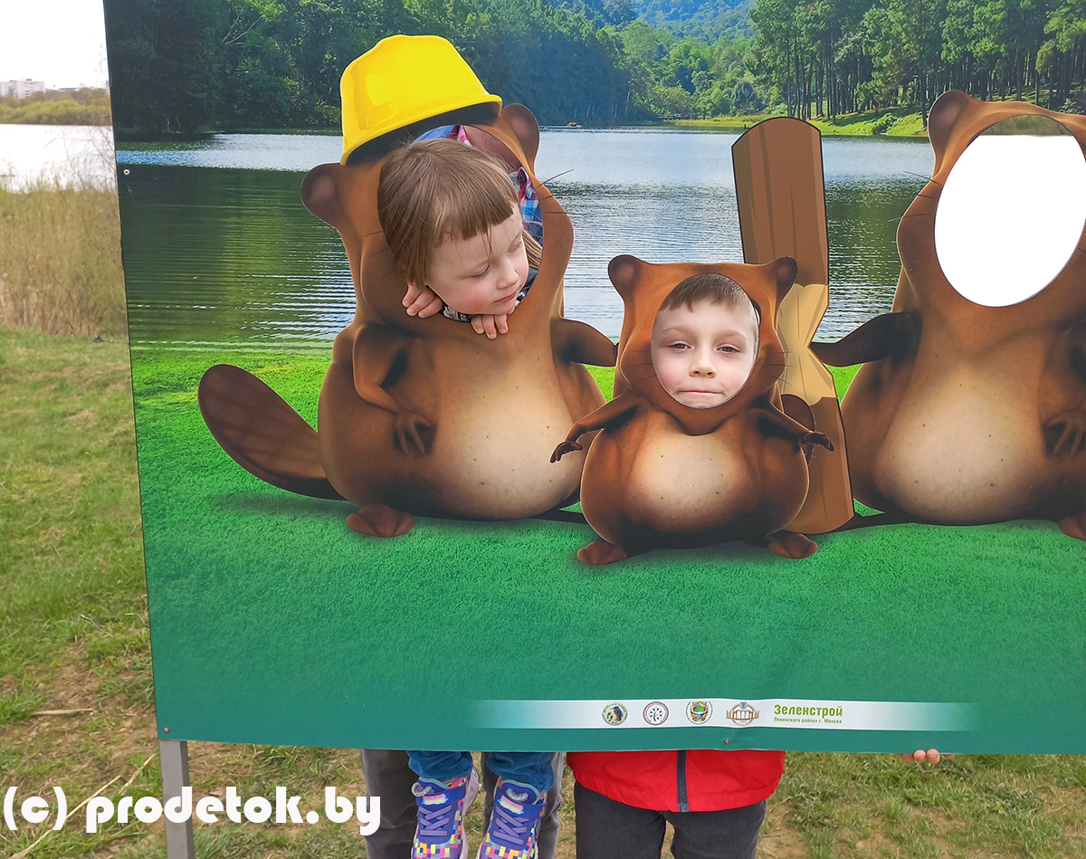 Экотропа «Малявки»: в поисках бобров