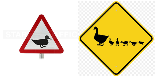 Помогите определить места, где птицы попадают под машины