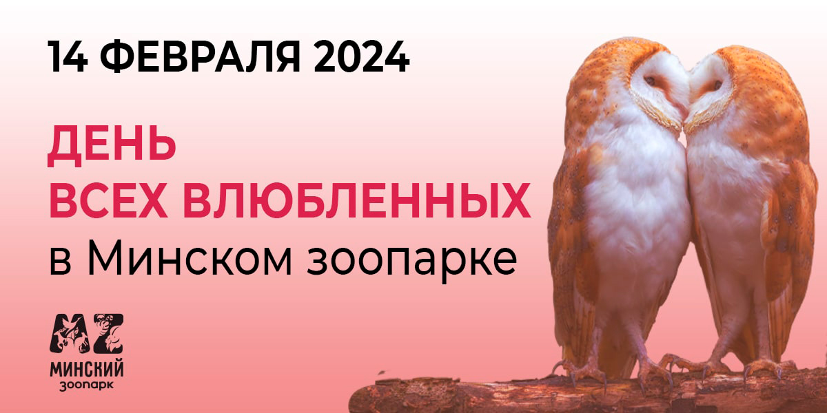 День всех влюбленных в Минском зоопарке. Акция 1+1