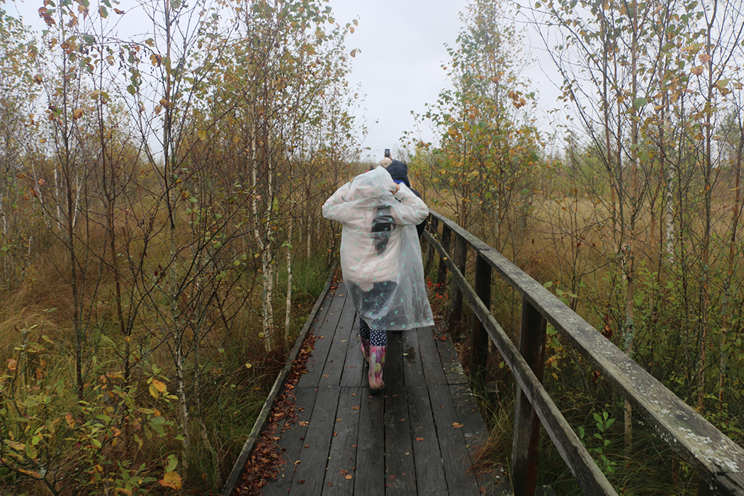 Миорский район: делимся идеей, куда поехать в Беларуси на выходные с детьми