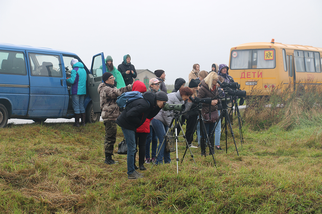 Миорский район: делимся идеей, куда поехать в Беларуси на выходные с детьми