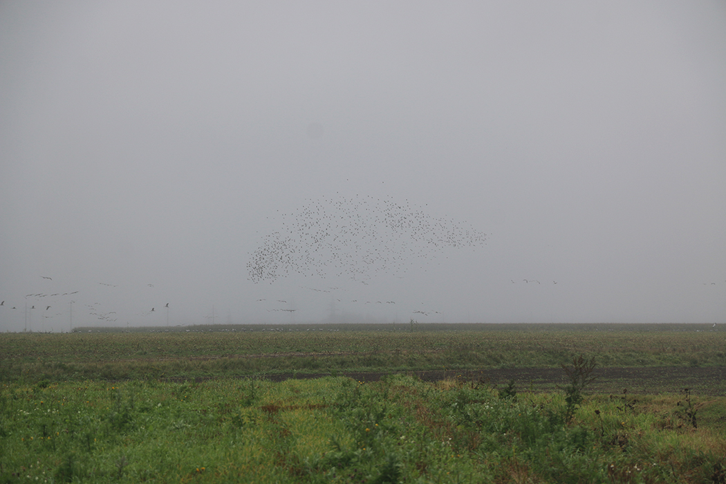 Миорский район: делимся идеей, куда поехать в Беларуси на выходные с детьми