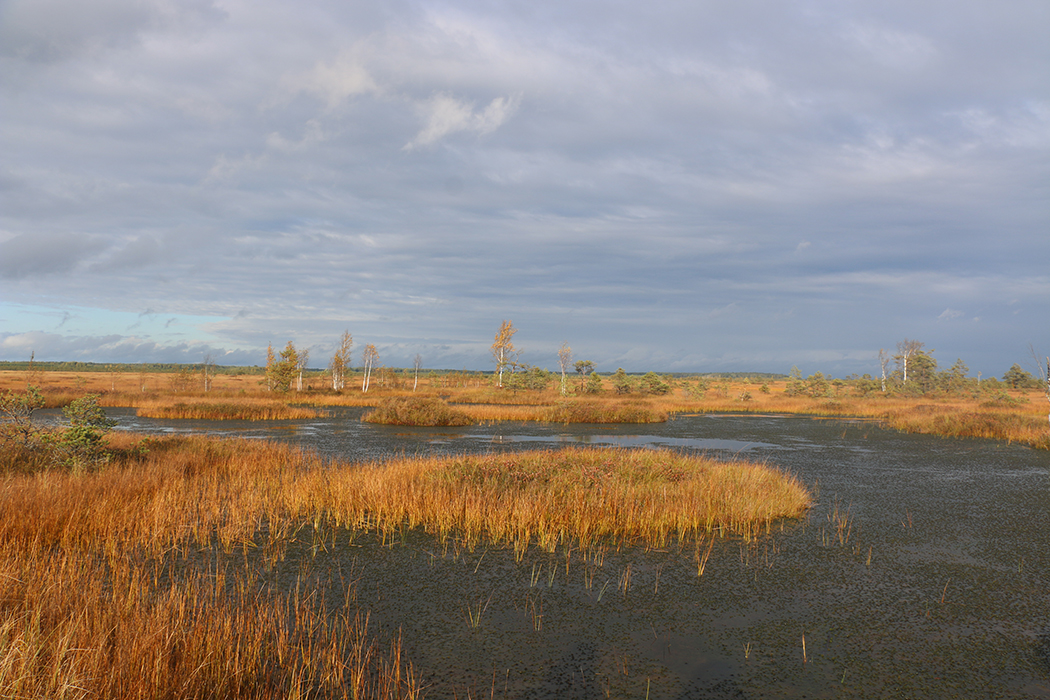 Миорский район: делимся идеей, куда поехать в Беларуси на выходные с детьми