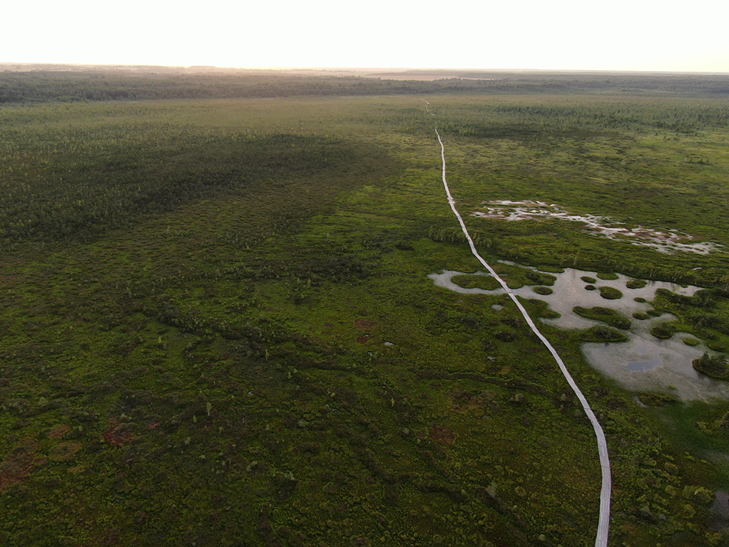 Миорский район: делимся идеей, куда поехать в Беларуси на выходные с детьми