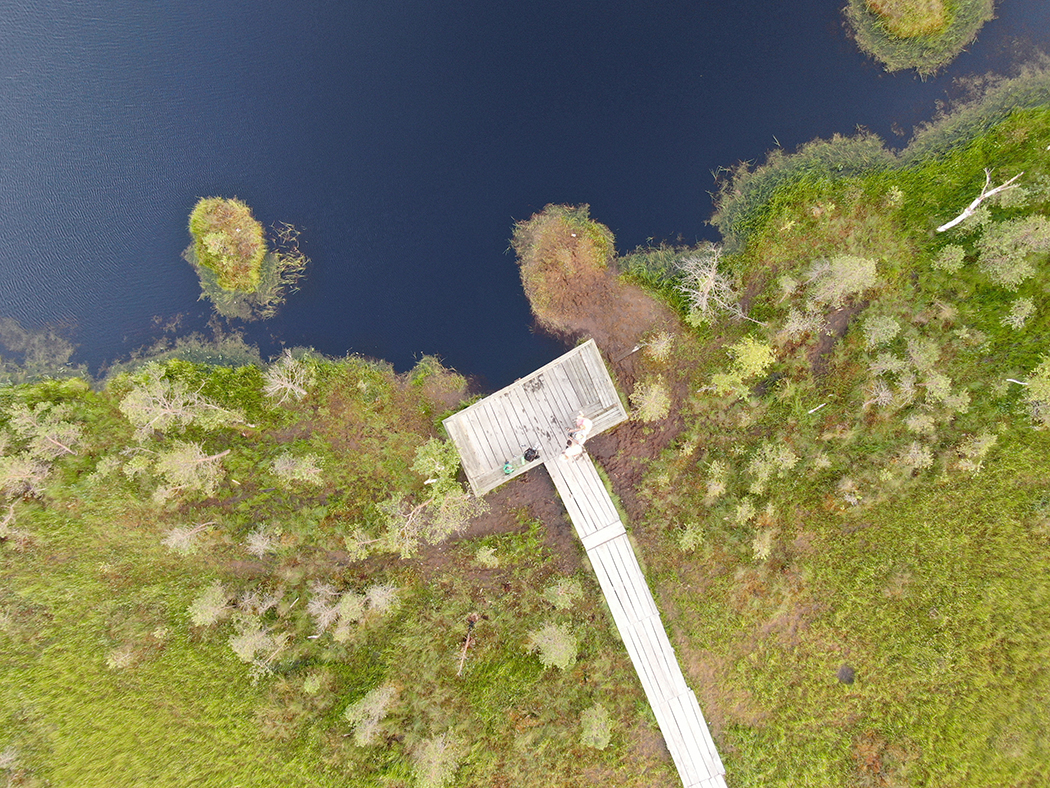 Миорский район: делимся идеей, куда поехать в Беларуси на выходные с детьми