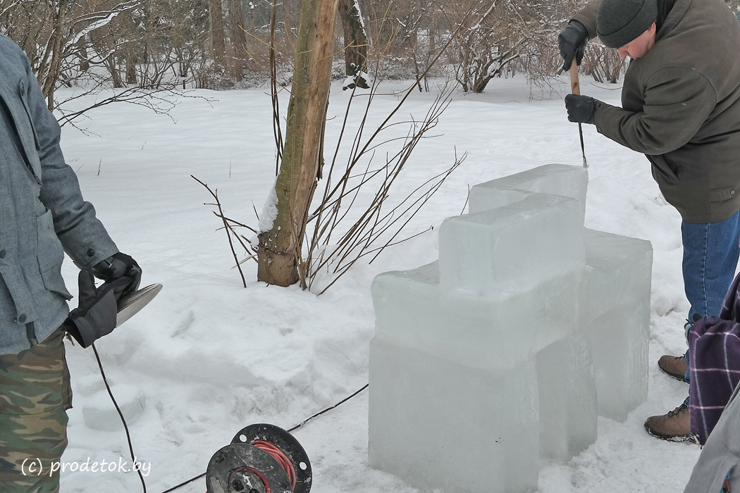 Фестиваль ледяных скульптур «Мир кристаллов» в Ботаническом саду 2018 : фото и отзыв 