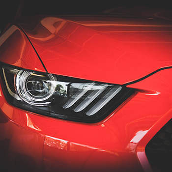 Открытие сезона Muscle Belarus 2022