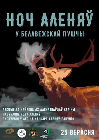 Ночь оленей в Беловежской пуще – вперед за впечатлениями!