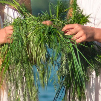 Свята «Купалле» з гуртом «Варгін»	

	
