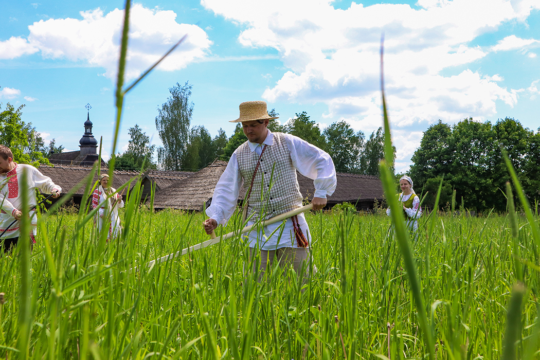Праздник первого укоса (Музейная сенокосная толока)