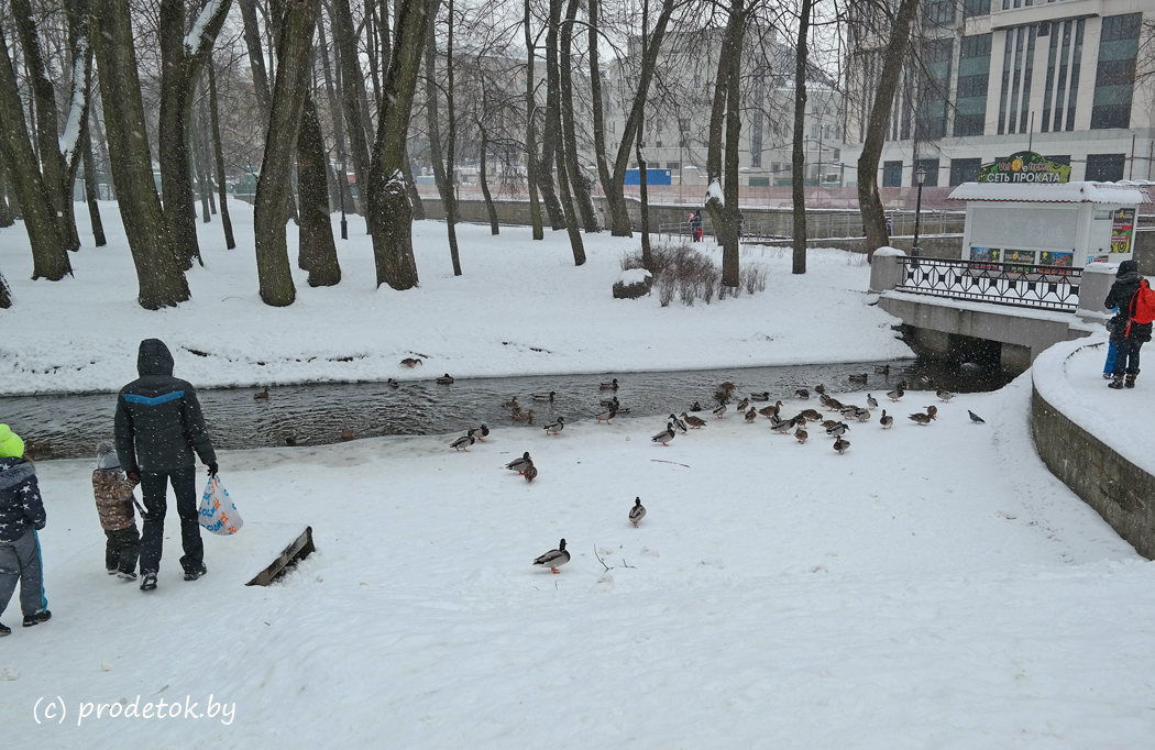 Зимой в Парке Горького: фотофакт