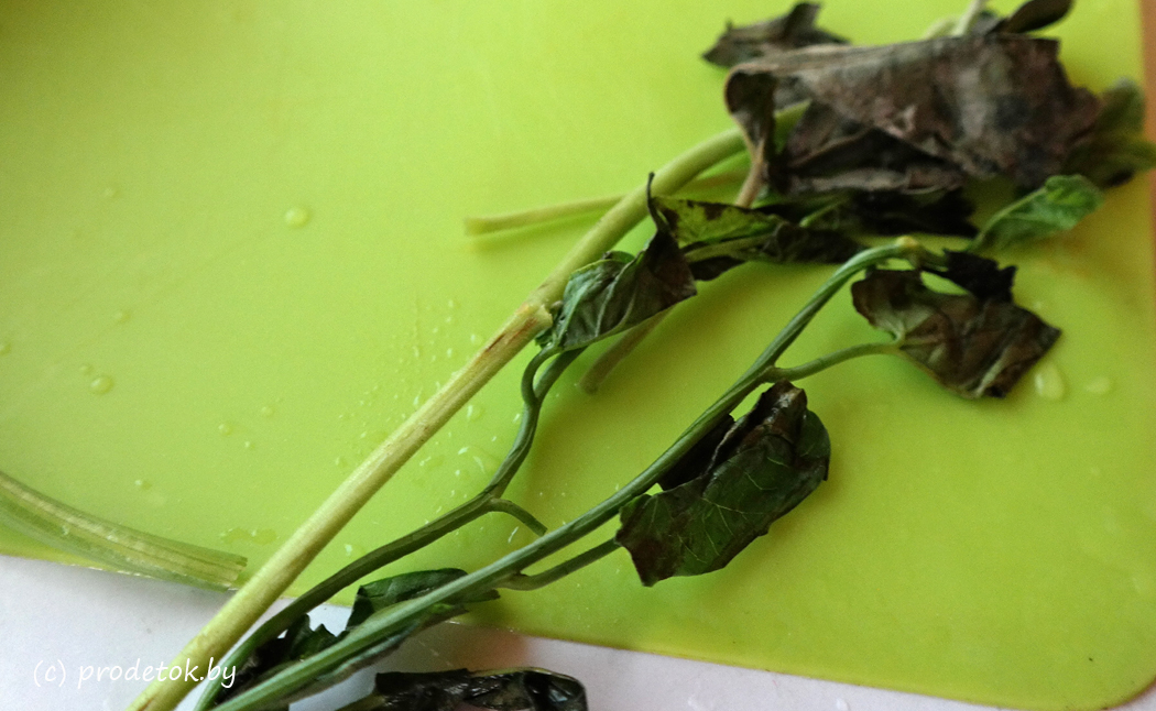 Это что вьюнок? Смотрите, что мы нашли в упаковке с петрушкой!