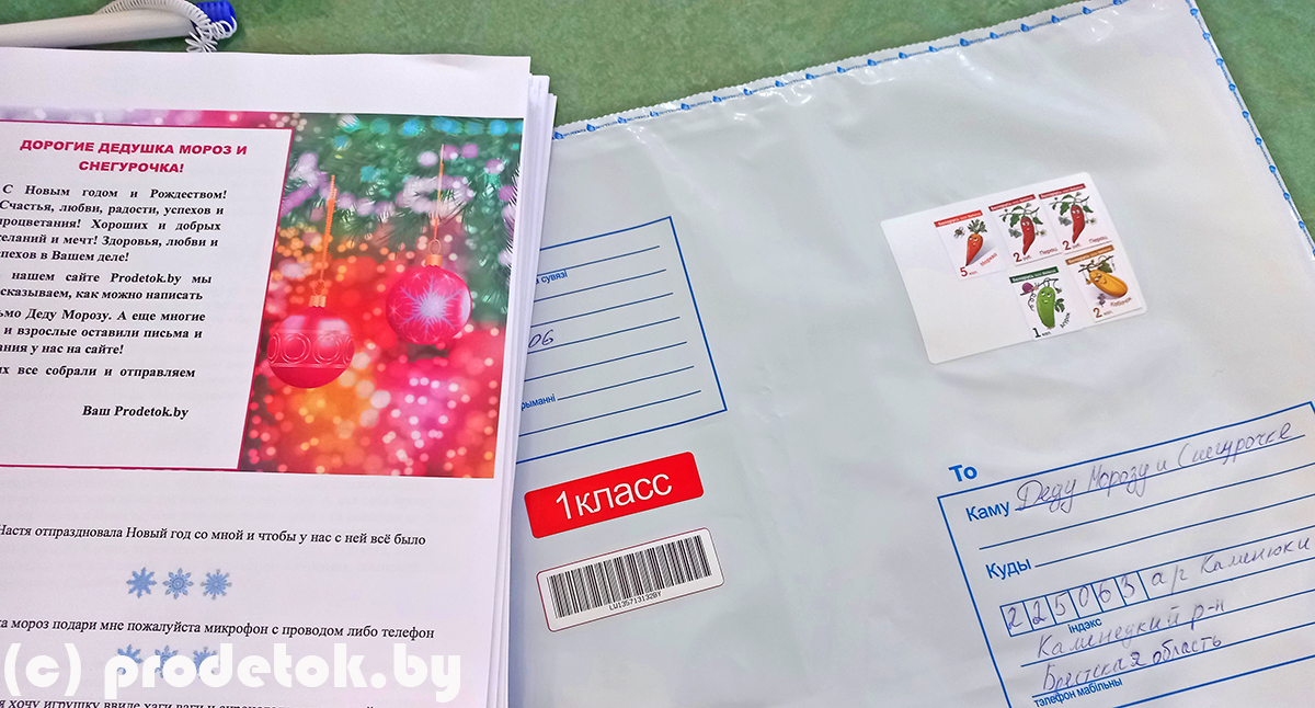 Как мы отправили ваши письма Деду Морозу: фотоотчет